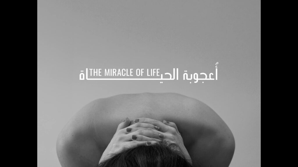 عقب عرضه في مهرجان بيروت.. فيلم أعجوبة الحياة يجسد صمت الحمل والحيرة!! عقب عرضه في مهرجان بيروت.. فيلم أعجوبة الحياة يجسد صمت الحمل والحيرة!!